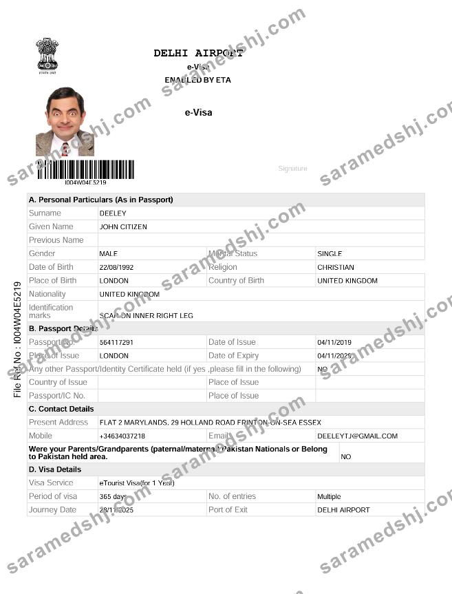 India e-visa template in Word and PDF formats, version 2